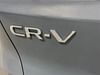6 thumbnail image of  2024 Honda CR-V EX-L
